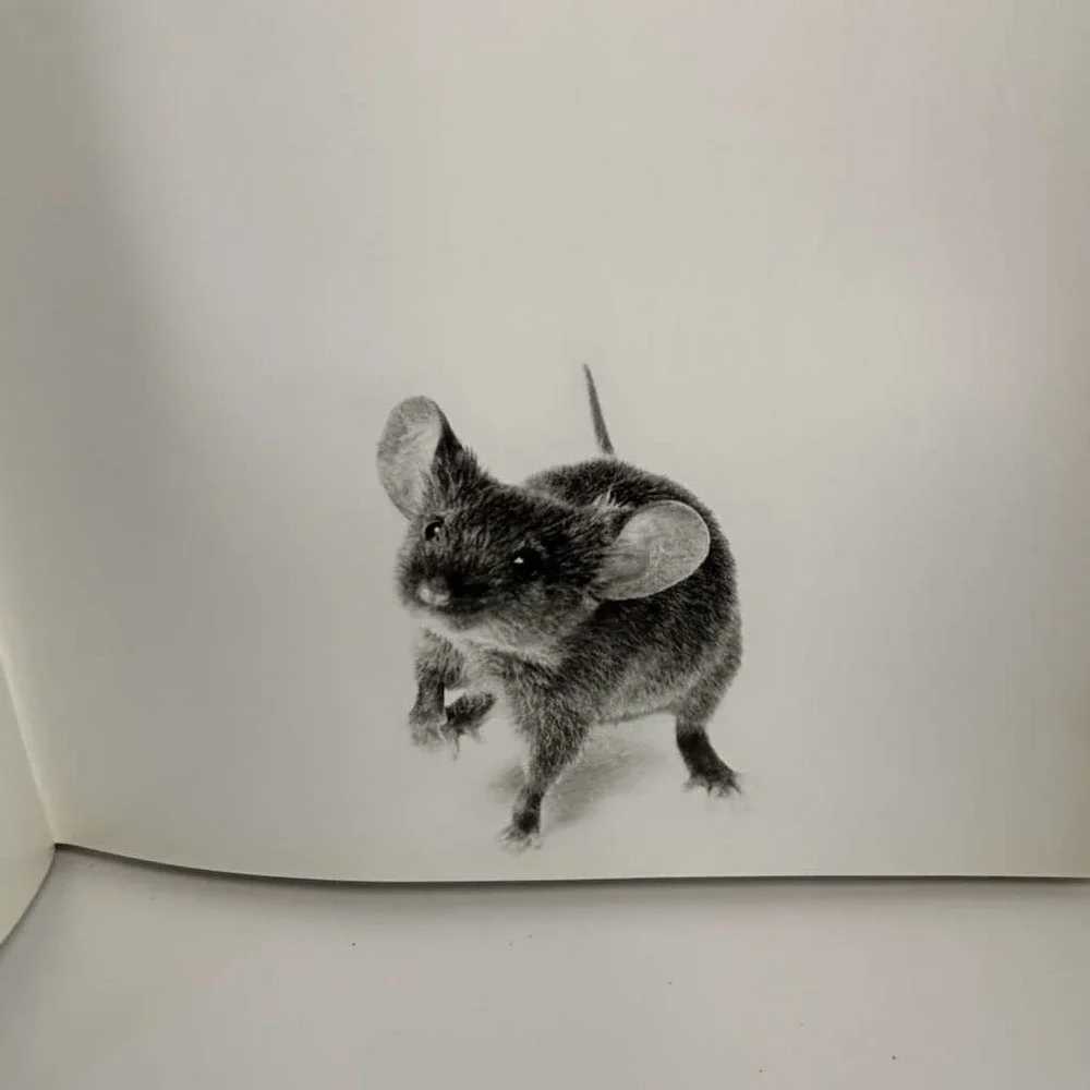 Animal Portraits by Walter Schels (2001 HCDJ) EDITION STEMMLE